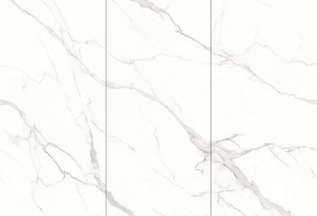 【新品】奢華定制，1600x3200mm成就大宅風(fēng)范！(圖24)