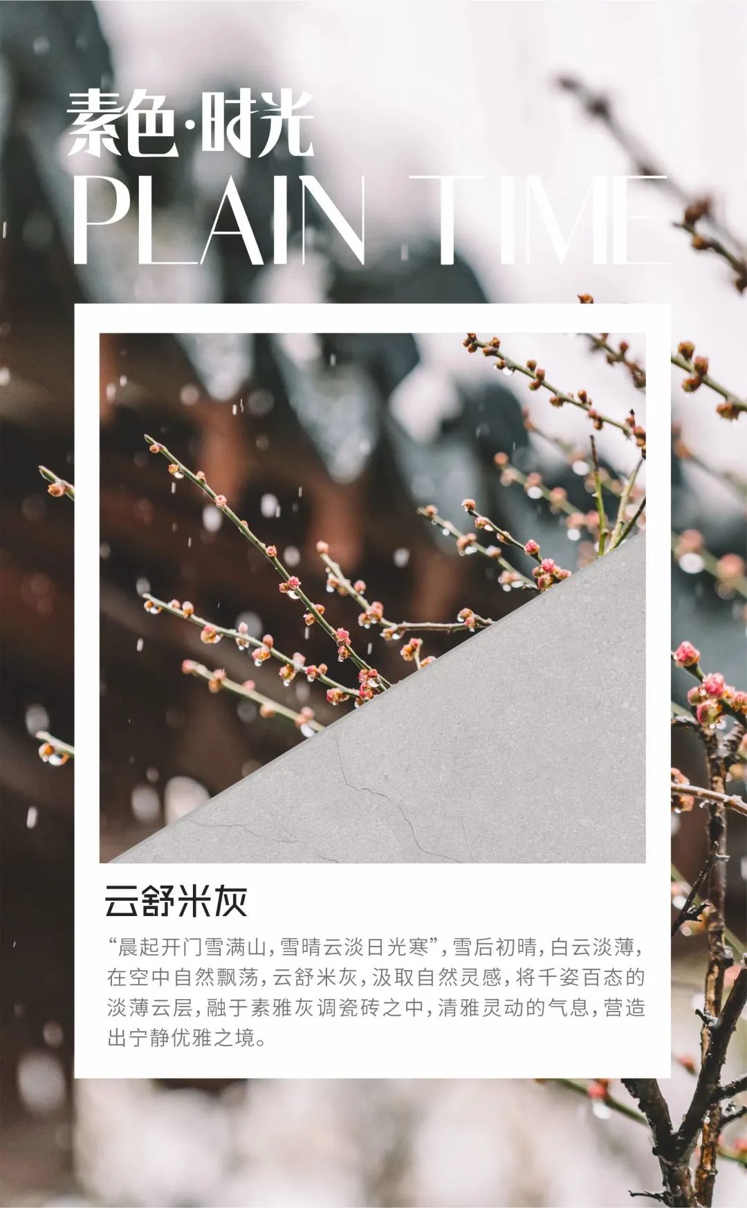 素色時(shí)光系列 | 一抹素色，訴說(shuō)著雅韻時(shí)光(圖19)
