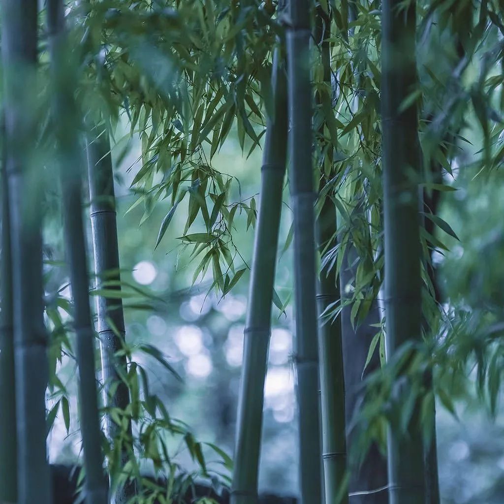 質(zhì)感?原生石系列 | 1200×1800mm密縫連紋，開創(chuàng)無限世界(圖19)