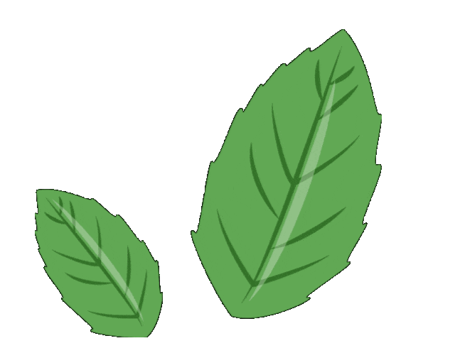 強輝800×1350mm新品揭秘 | 新工藝，新質(zhì)感，新體驗(圖6)